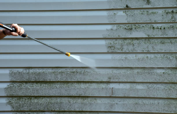 Best Sidewalk and Walkway Cleaning  in Franklin, GA