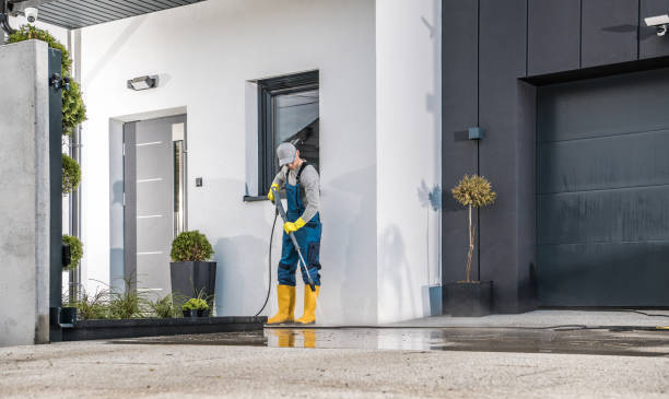Best Graffiti Removal  in Franklin, GA